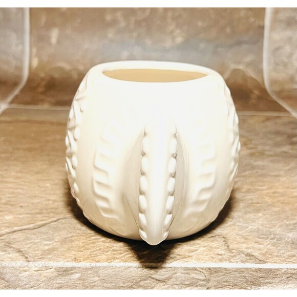 Fish Ceramic Succulent Planter Pot - White - New - Picture 5 of 6
